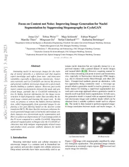 Focus on Content not Noise: Improving Image Generation for Nuclei
  Segmentation by Suppressing Steganography in CycleGAN