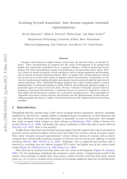 Learning beyond sensations: how dreams organize neuronal representations