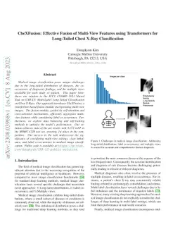 CheXFusion: Effective Fusion of Multi-View Features using Transformers
  for Long-Tailed Chest X-Ray Classification