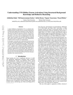 Understanding CNN Hidden Neuron Activations Using Structured Background
  Knowledge and Deductive Reasoning
