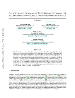 Entropy-based Guidance of Deep Neural Networks for Accelerated
  Convergence and Improved Performance
