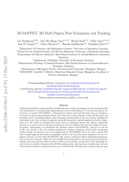 3D-MuPPET: 3D Multi-Pigeon Pose Estimation and Tracking