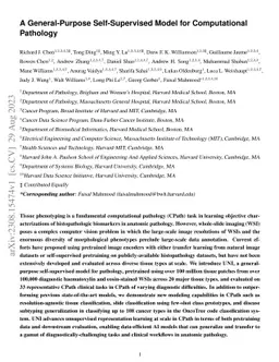 A General-Purpose Self-Supervised Model for Computational Pathology