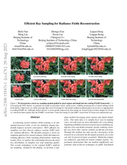 Efficient Ray Sampling for Radiance Fields Reconstruction