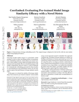 CorrEmbed: Evaluating Pre-trained Model Image Similarity Efficacy with a
  Novel Metric