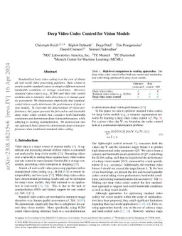 Deep Video Codec Control for Vision Models