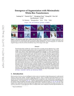 Emergence of Segmentation with Minimalistic White-Box Transformers