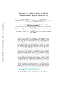 Towards Optimal Patch Size in Vision Transformers for Tumor Segmentation