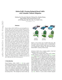 HollowNeRF: Pruning Hashgrid-Based NeRFs with Trainable Collision
  Mitigation