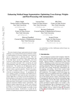 Enhancing Medical Image Segmentation: Optimizing Cross-Entropy Weights
  and Post-Processing with Autoencoders