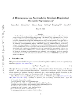 A Homogenization Approach for Gradient-Dominated Stochastic Optimization
