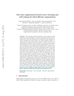 Test-time augmentation-based active learning and self-training for
  label-efficient segmentation
