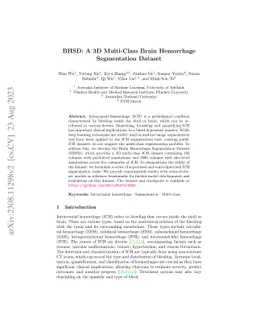 BHSD: A 3D Multi-Class Brain Hemorrhage Segmentation Dataset
