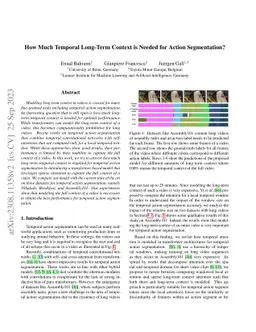 How Much Temporal Long-Term Context is Needed for Action Segmentation?
