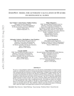 EndoNet: model for automatic calculation of H-score on histological
  slides