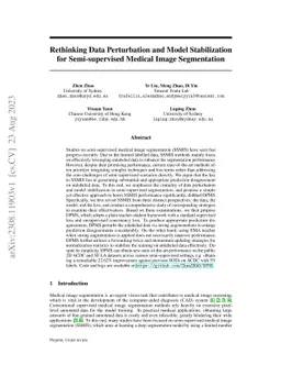 Rethinking Data Perturbation and Model Stabilization for Semi-supervised
  Medical Image Segmentation