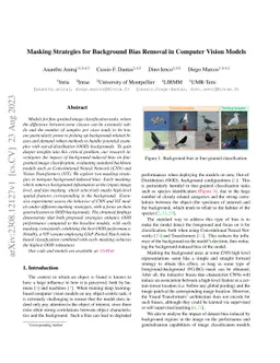 Masking Strategies for Background Bias Removal in Computer Vision Models