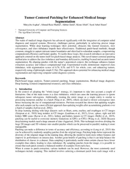 Tumor-Centered Patching for Enhanced Medical Image Segmentation