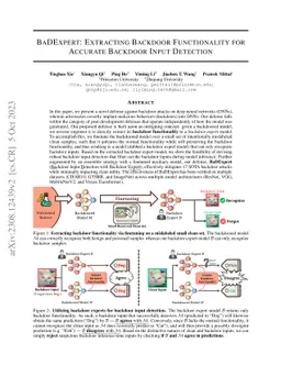 BaDExpert: Extracting Backdoor Functionality for Accurate Backdoor Input
  Detection