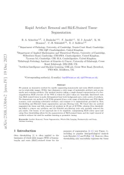 Rapid Artefact Removal and H&E-Stained Tissue Segmentation