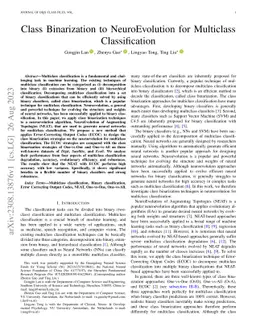 Class Binarization to NeuroEvolution for Multiclass Classification