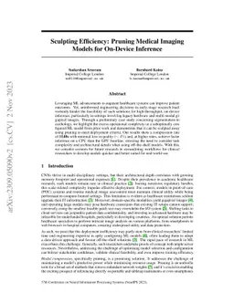 Sculpting Efficiency: Pruning Medical Imaging Models for On-Device
  Inference