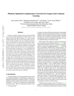 Plasticity-Optimized Complementary Networks for Unsupervised Continual
  Learning