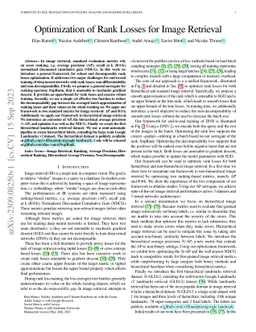 Optimization of Rank Losses for Image Retrieval