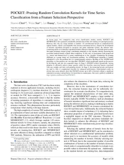 POCKET: Pruning Random Convolution Kernels for Time Series
  Classification from a Feature Selection Perspective