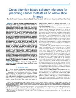 Cross-attention-based saliency inference for predicting cancer
  metastasis on whole slide images