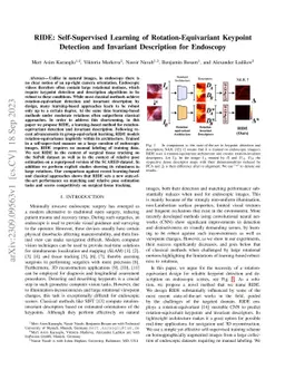 RIDE: Self-Supervised Learning of Rotation-Equivariant Keypoint
  Detection and Invariant Description for Endoscopy