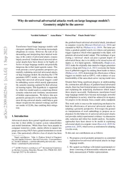 Why do universal adversarial attacks work on large language models?:
  Geometry might be the answer