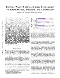 Boosting Weakly-Supervised Image Segmentation via Representation,
  Transform, and Compensator