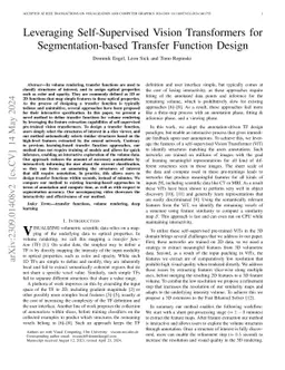Leveraging Self-Supervised Vision Transformers for Segmentation-based
  Transfer Function Design