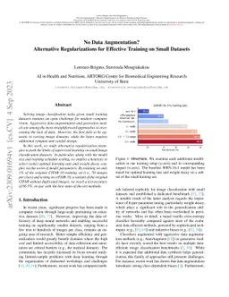 No Data Augmentation? Alternative Regularizations for Effective Training
  on Small Datasets