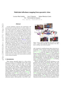 Multi-label affordance mapping from egocentric vision