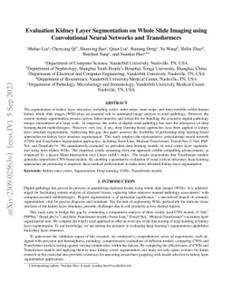 Evaluation Kidney Layer Segmentation on Whole Slide Imaging using
  Convolutional Neural Networks and Transformers