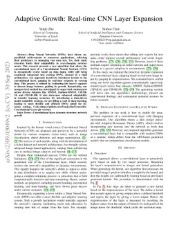 Adaptive Growth: Real-time CNN Layer Expansion