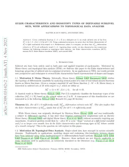 Euler Characteristics and Homotopy Types of Definable Sublevel Sets,
  with Applications to Topological Data Analysis