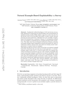Natural Example-Based Explainability: a Survey