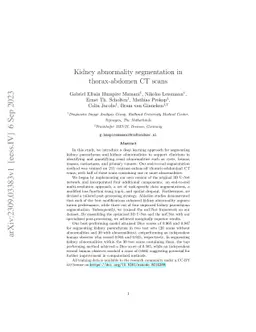 Kidney abnormality segmentation in thorax-abdomen CT scans