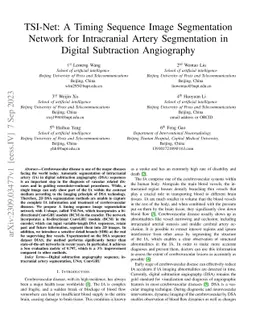 TSI-Net: A Timing Sequence Image Segmentation Network for Intracranial
  Artery Segmentation in Digital Subtraction Angiography