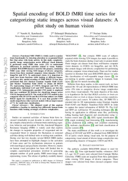 Spatial encoding of BOLD fMRI time series for categorizing static images
  across visual datasets: A pilot study on human vision