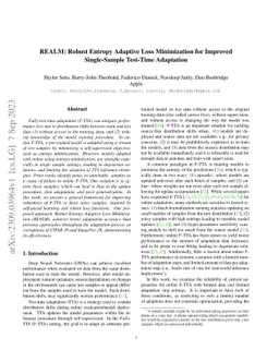 REALM: Robust Entropy Adaptive Loss Minimization for Improved
  Single-Sample Test-Time Adaptation