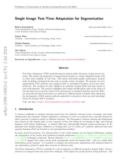 Single Image Test-Time Adaptation for Segmentation