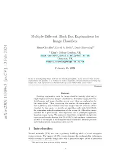 Multiple Different Black Box Explanations for Image Classifiers