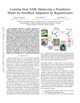 Learning from SAM: Harnessing a Foundation Model for Sim2Real Adaptation by Regularization