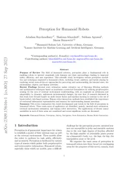 Perception for Humanoid Robots