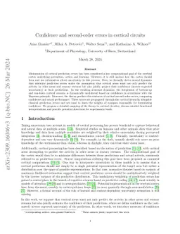 Confidence and second-order errors in cortical circuits