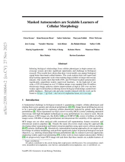 Masked Autoencoders are Scalable Learners of Cellular Morphology
